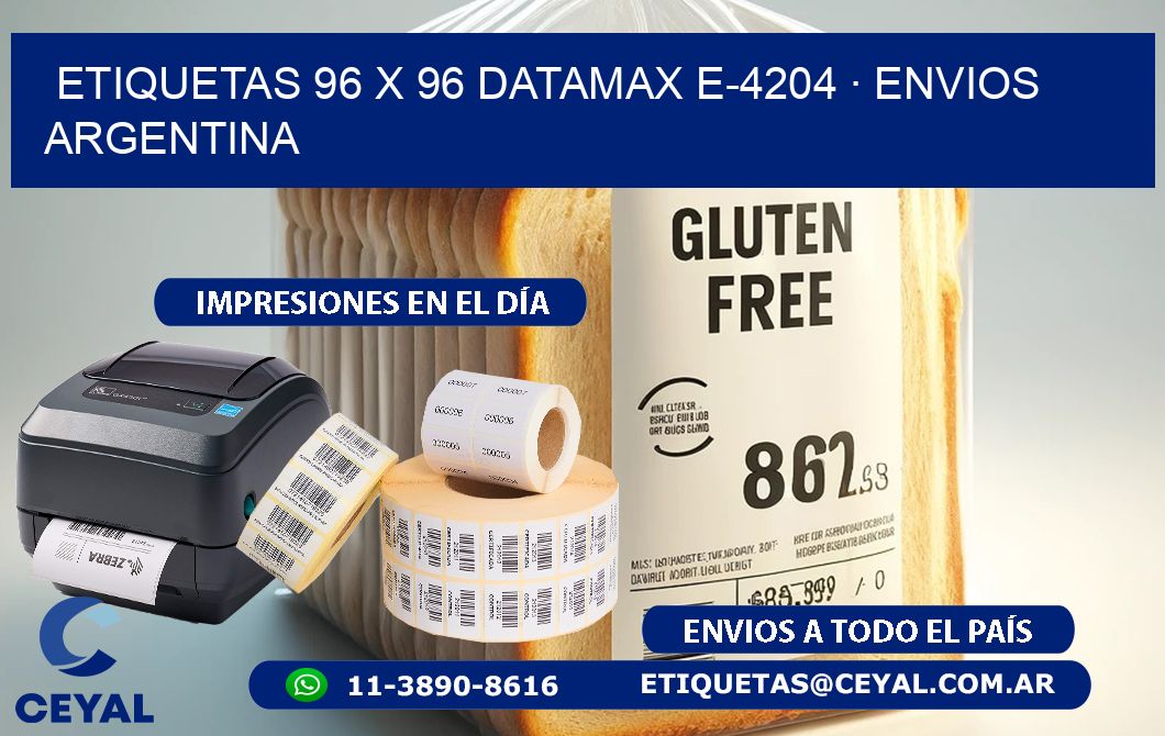 ETIQUETAS 96 x 96 DATAMAX E-4204 · ENVIOS ARGENTINA