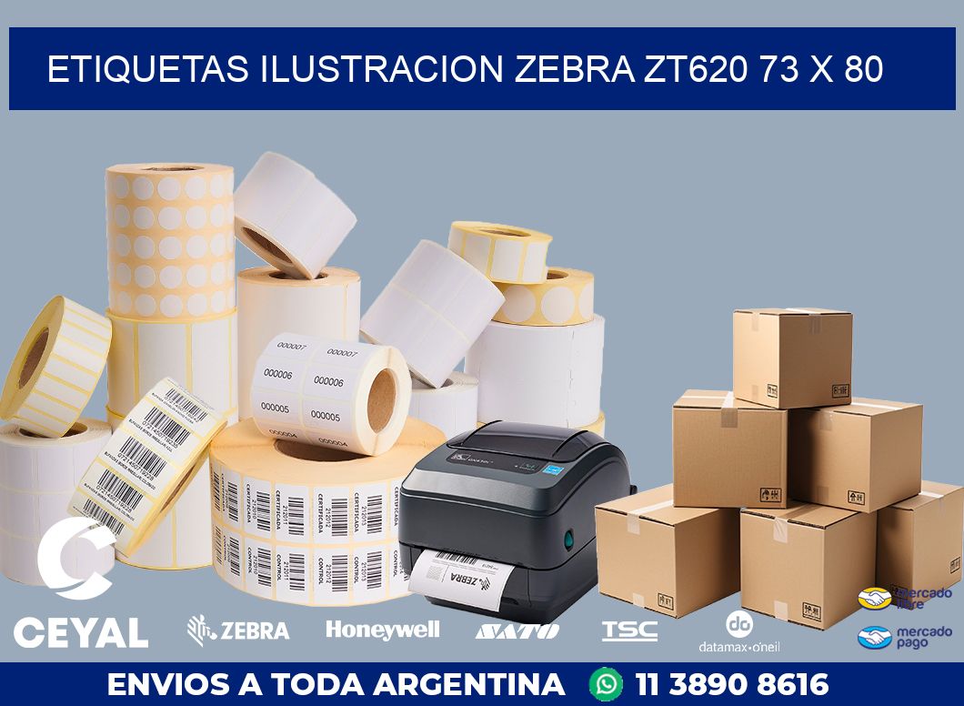 ETIQUETAS ILUSTRACION ZEBRA ZT620 73 x 80