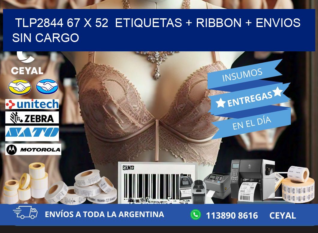 TLP2844 67 x 52  etiquetas + ribbon + envios sin cargo