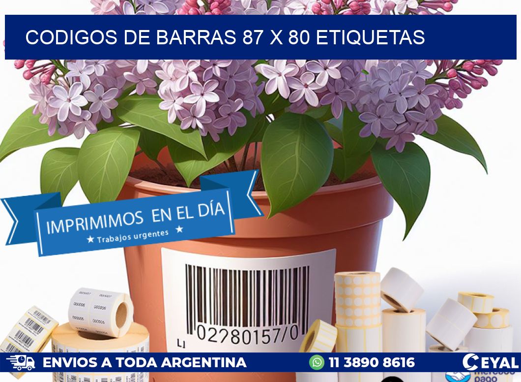 codigos de barras 87 x 80 etiquetas