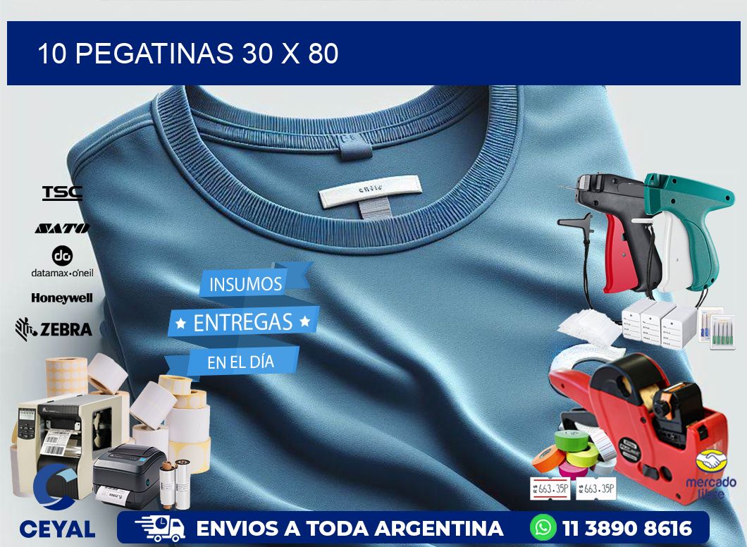 10 PEGATINAS 30 x 80
