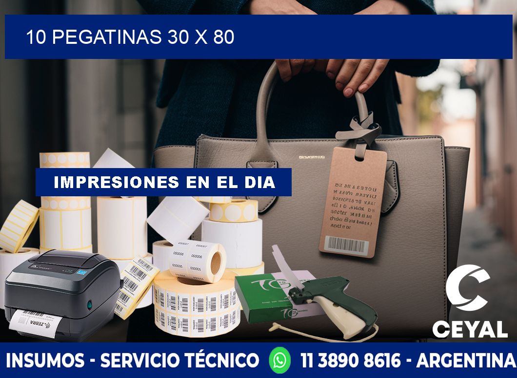 10 PEGATINAS 30 x 80