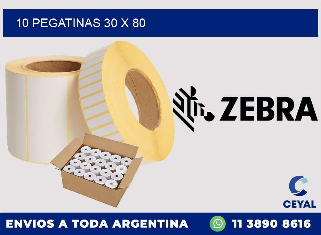 10 PEGATINAS 30 x 80