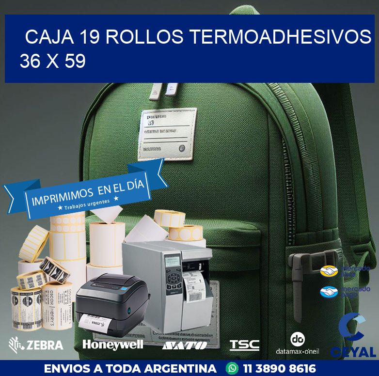 CAJA 19 ROLLOS TERMOADHESIVOS 36 x 59