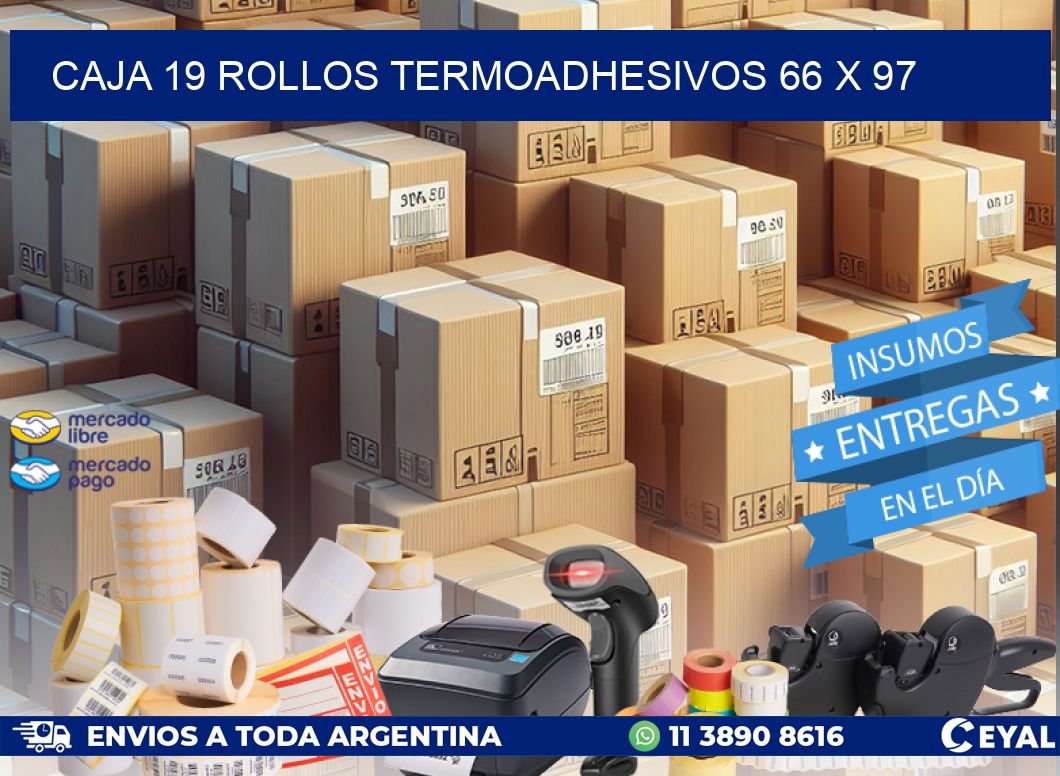 CAJA 19 ROLLOS TERMOADHESIVOS 66 x 97