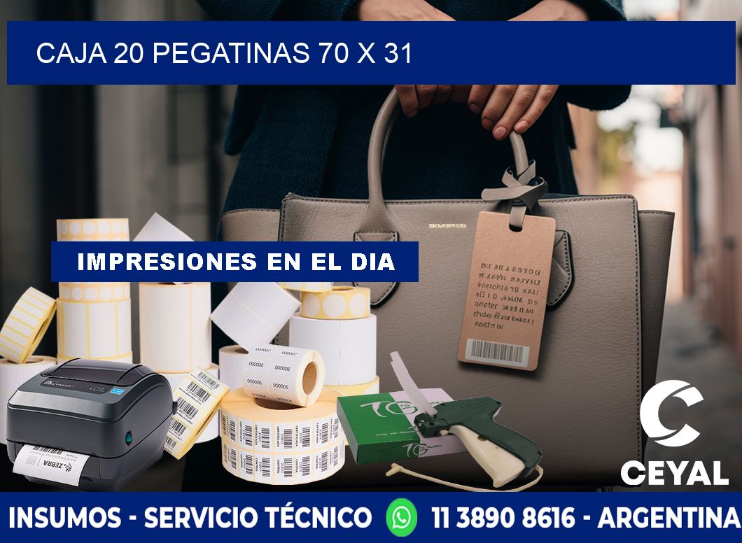 CAJA 20 PEGATINAS 70 x 31