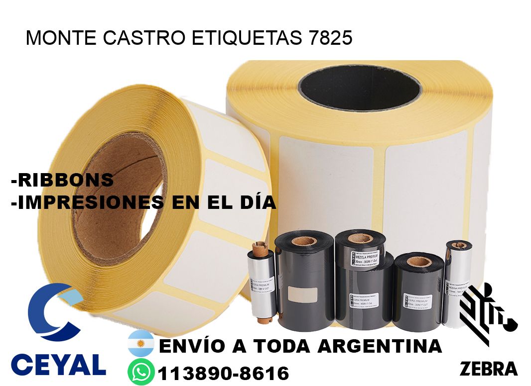 Monte Castro etiquetas 7825