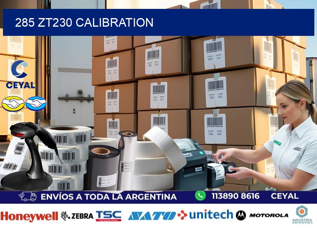 285 ZT230 Calibration
