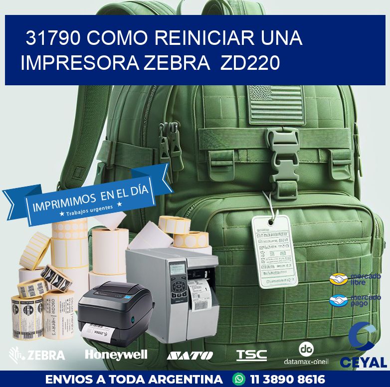 31790 Como reiniciar una impresora Zebra  ZD220