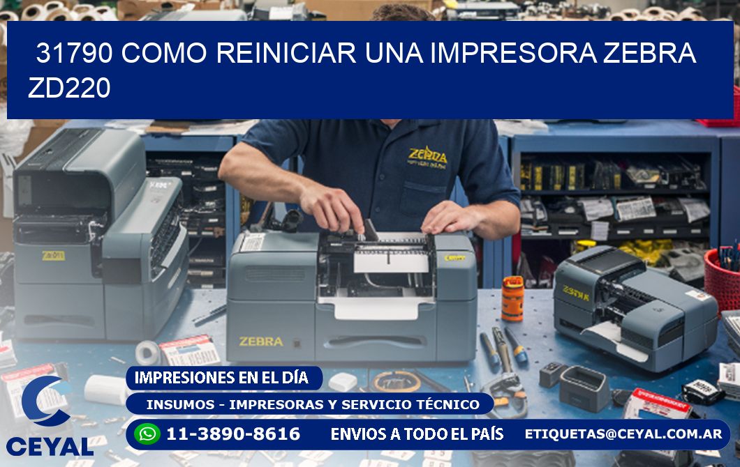 31790 Como reiniciar una impresora Zebra  ZD220