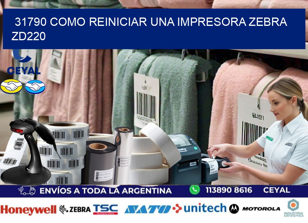31790 Como reiniciar una impresora Zebra  ZD220