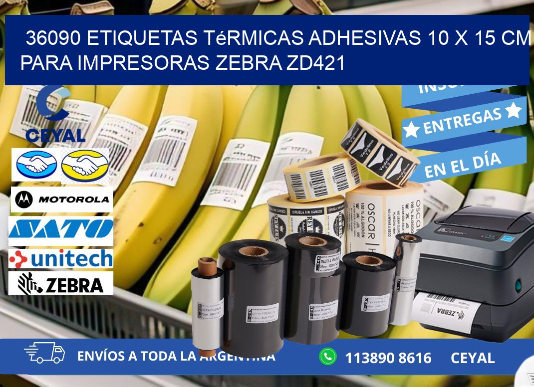 36090 Etiquetas Térmicas Adhesivas 10 x 15 cm para Impresoras Zebra ZD421