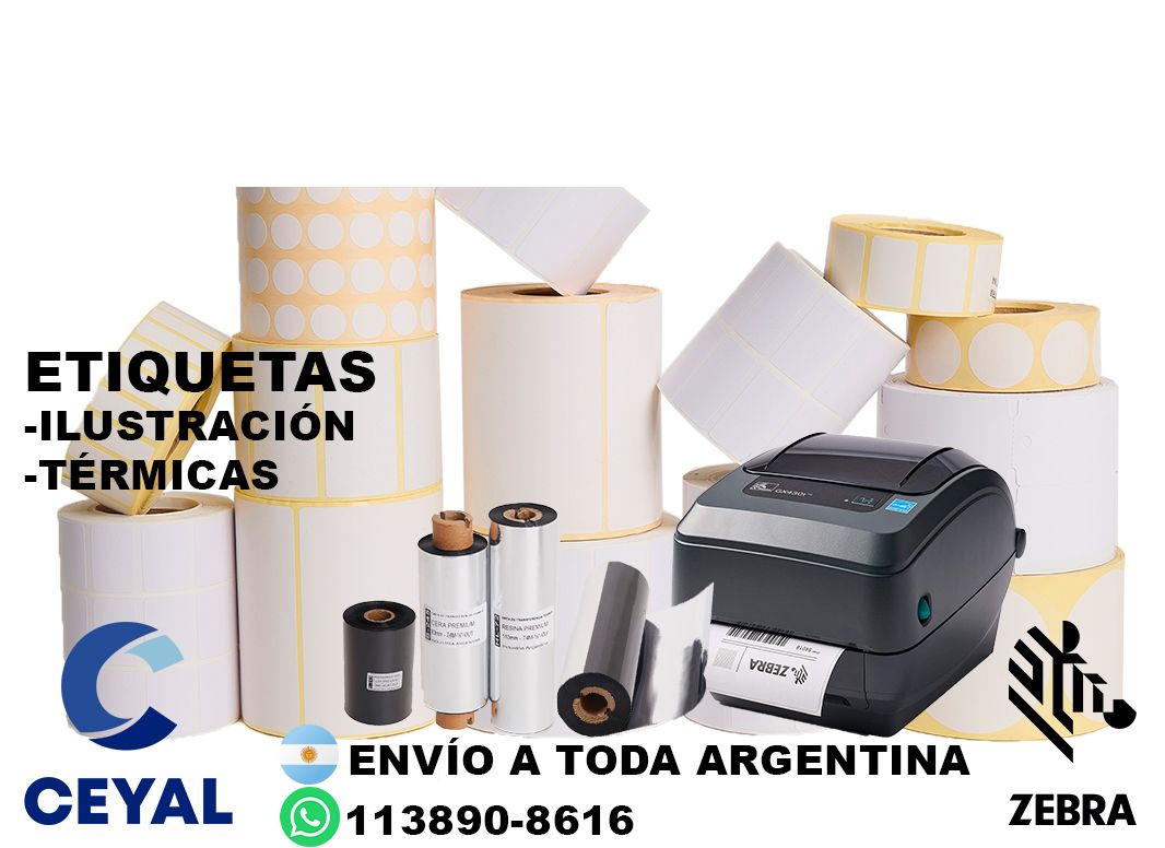40530 Impresora de etiquetas autoadhesivas industrial