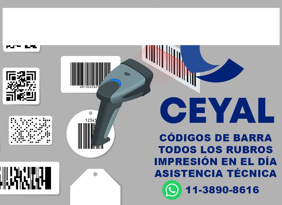 40530 Impresora de etiquetas autoadhesivas industrial