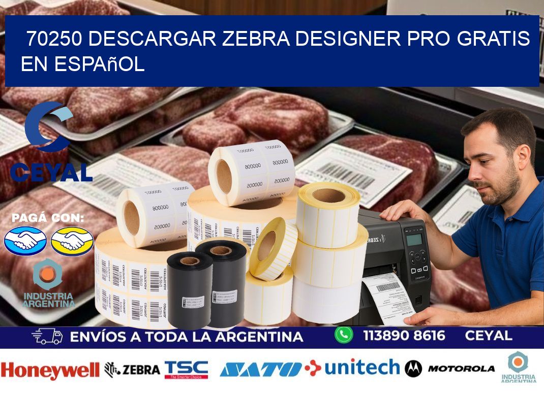 70250 Descargar Zebra Designer Pro gratis en Español