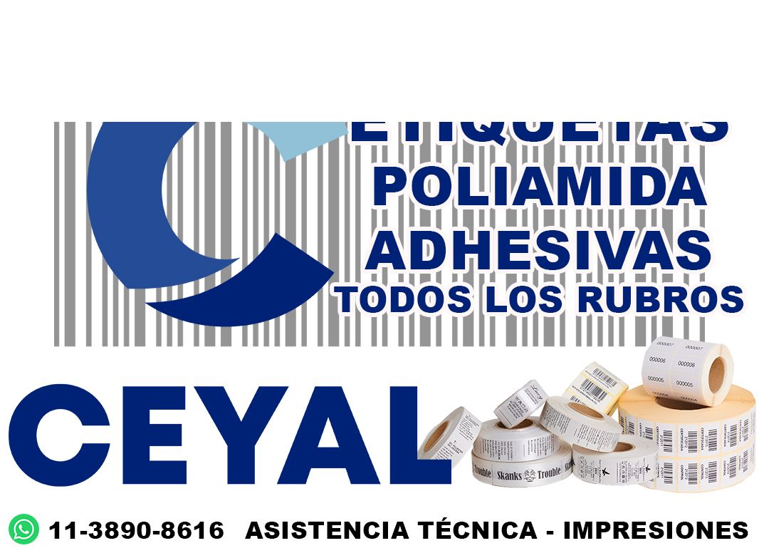 81545 Rollo de Etiquetas Papel Ilustración 50mm x 30mm 2 Bandas