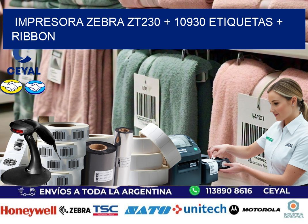 impresora zebra zt230 + 10930 etiquetas + ribbon