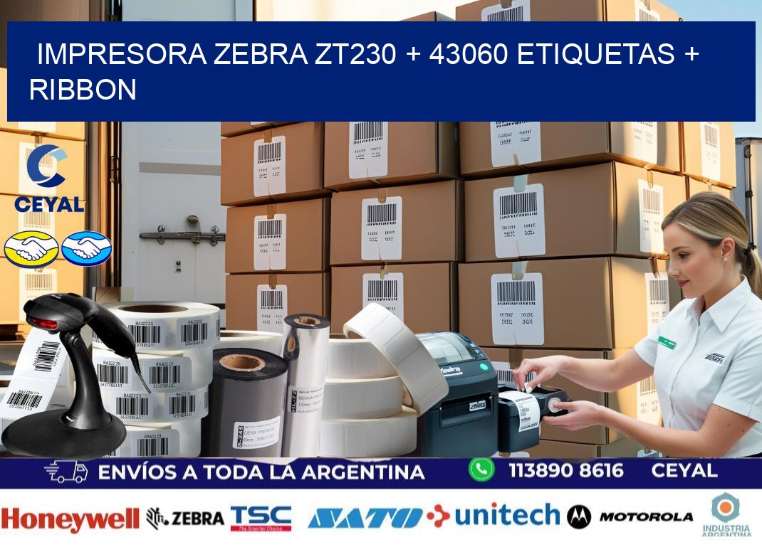 impresora zebra zt230 + 43060 etiquetas + ribbon