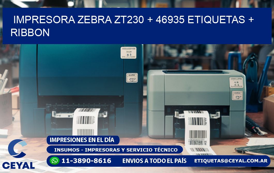 impresora zebra zt230 + 46935 etiquetas + ribbon