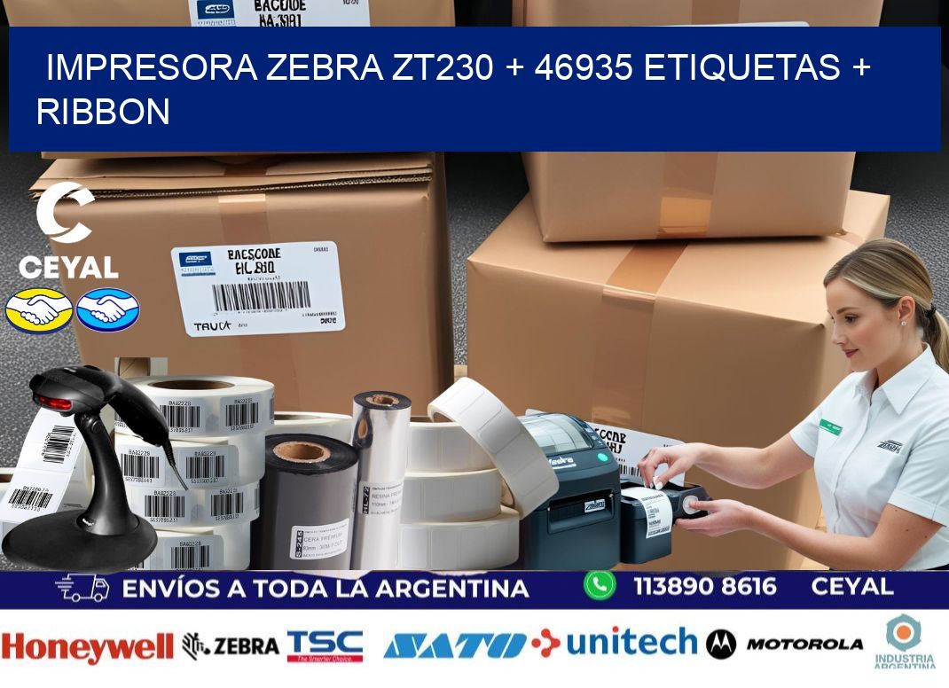 impresora zebra zt230 + 46935 etiquetas + ribbon