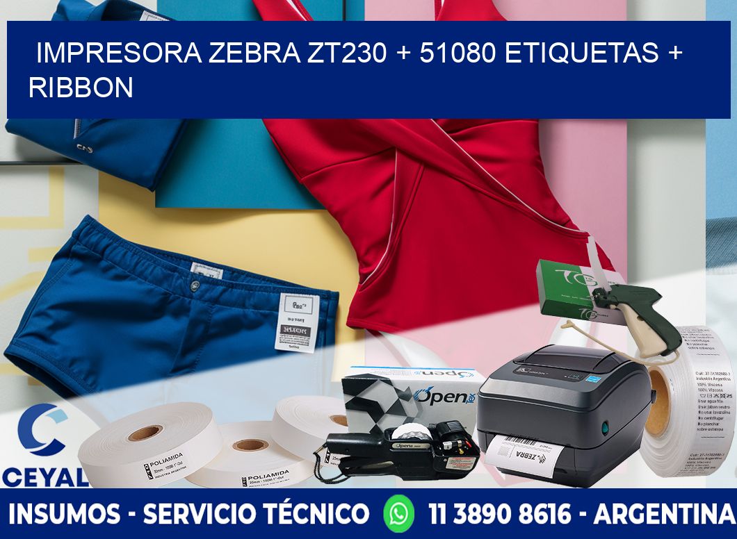 impresora zebra zt230 + 51080 etiquetas + ribbon