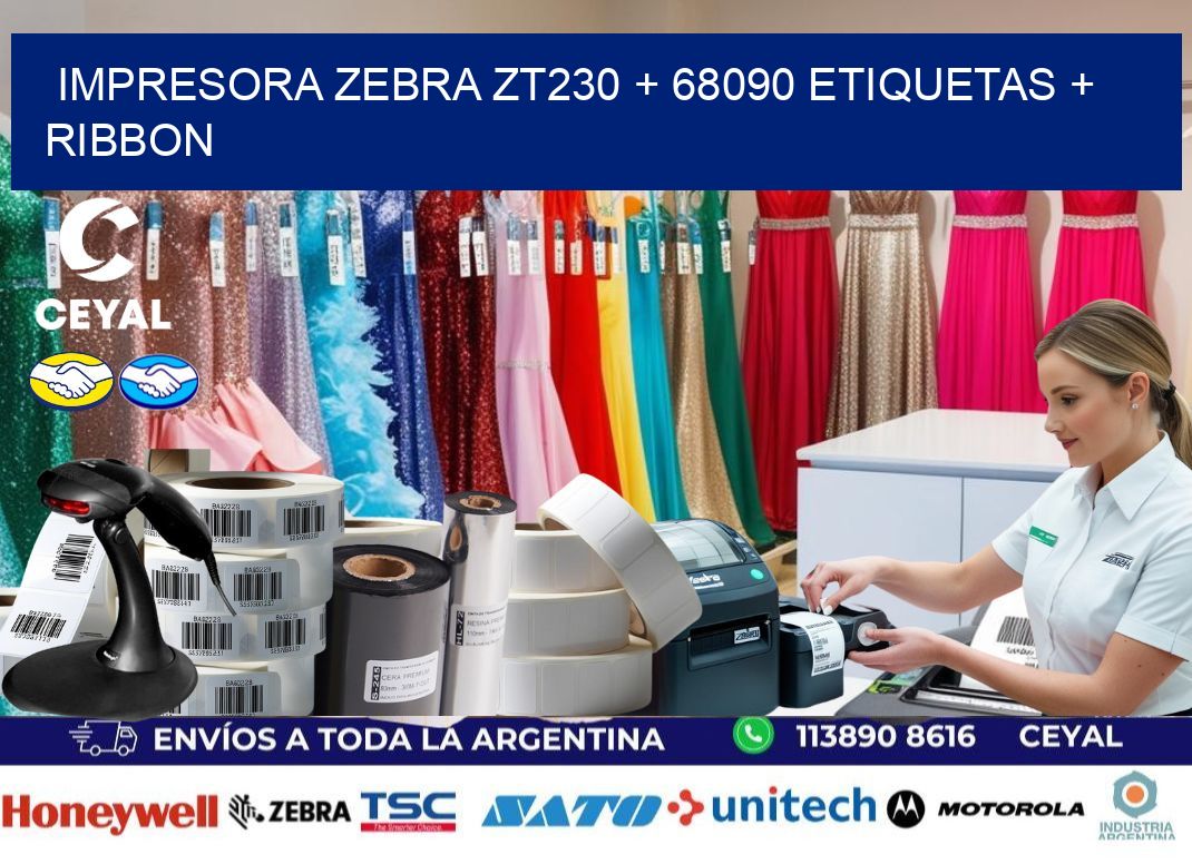 impresora zebra zt230 + 68090 etiquetas + ribbon