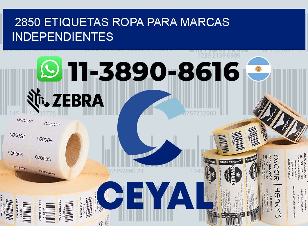 2850 Etiquetas ropa para marcas independientes