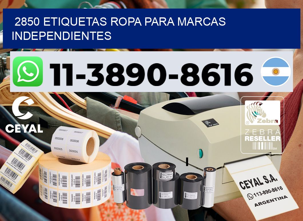 2850 Etiquetas ropa para marcas independientes