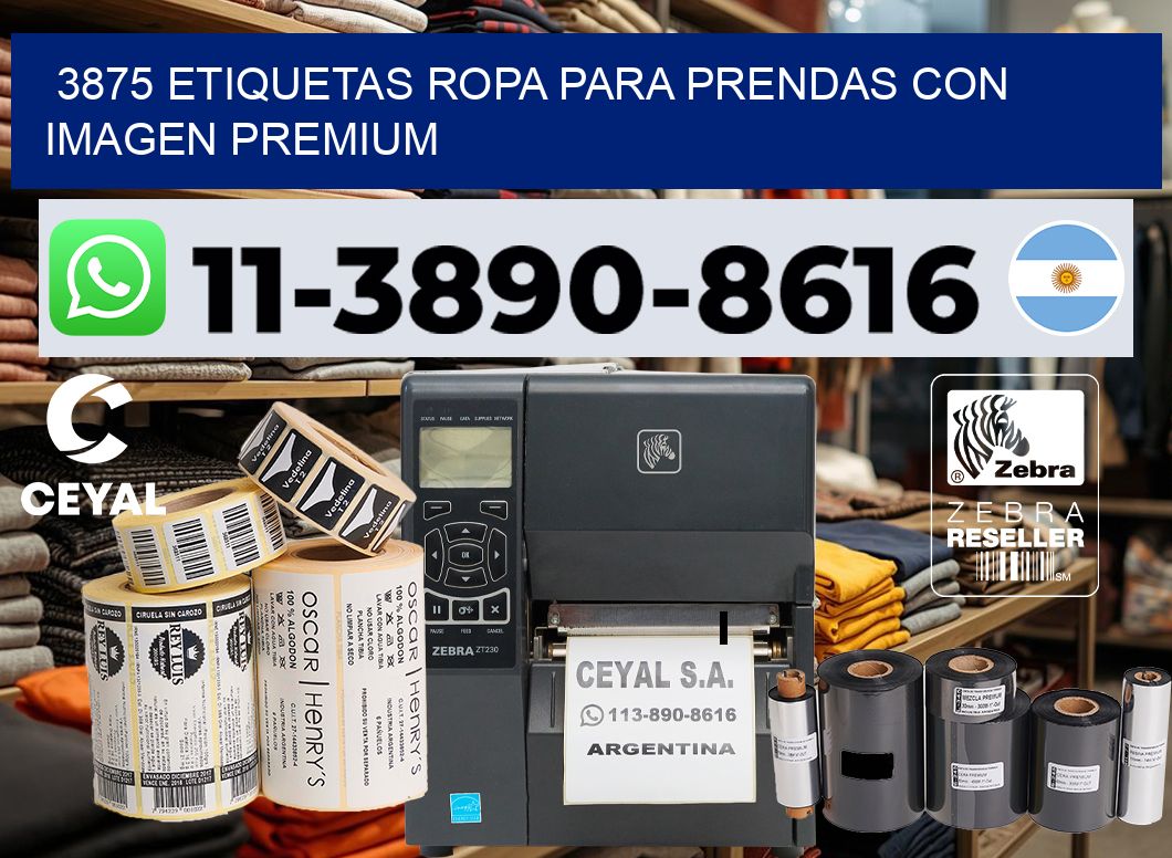 3875 Etiquetas ropa para prendas con imagen premium