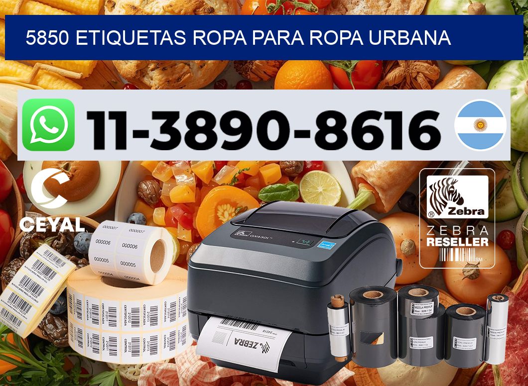 5850 Etiquetas ropa para ropa urbana
