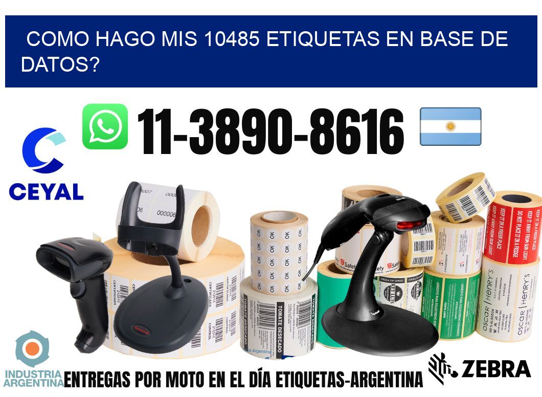 como hago mis 10485 etiquetas en base de datos?