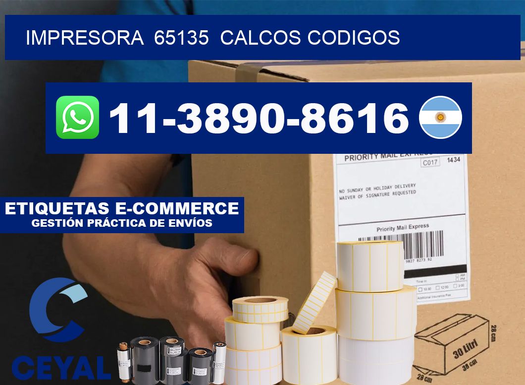 impresora  65135  calcos codigos