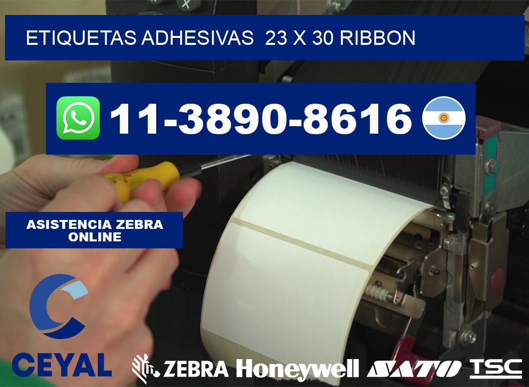 Etiquetas adhesivas 23 x 30 ribbon