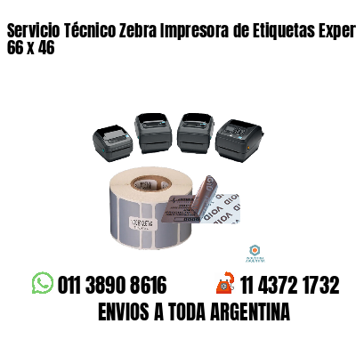 Servicio Técnico Zebra Impresora de Etiquetas Experto 66 x 46