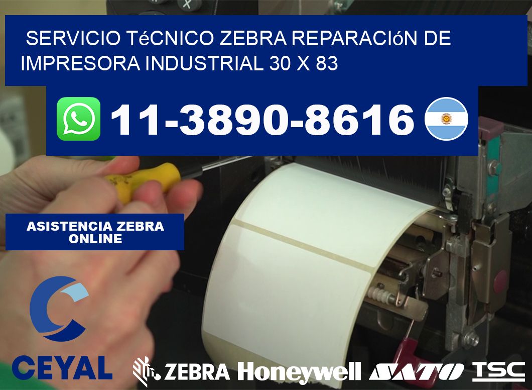 Servicio Técnico Zebra Reparación de Impresora Industrial 30 x 83