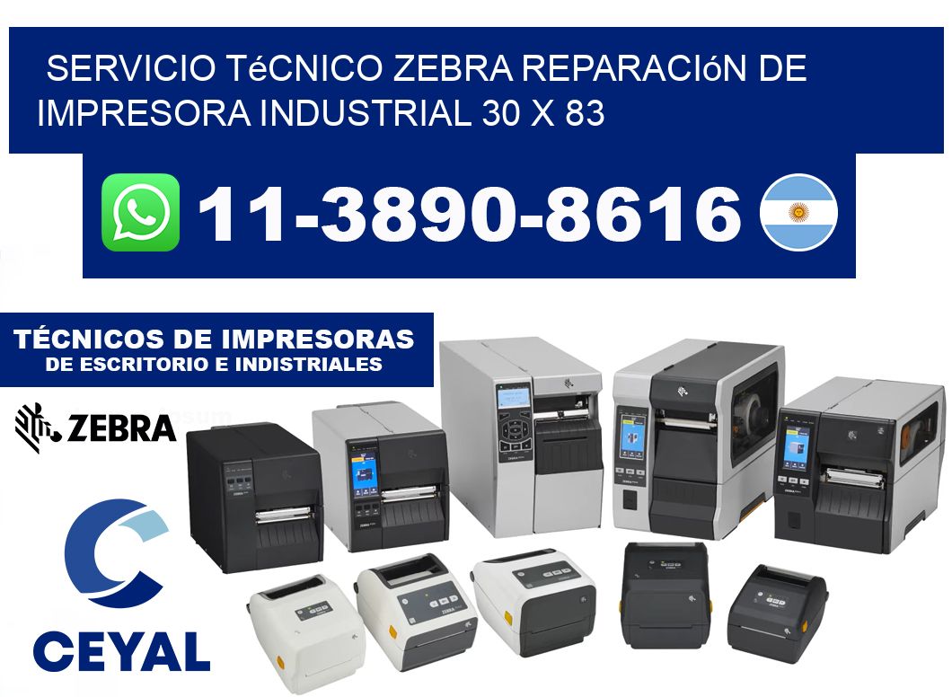 Servicio Técnico Zebra Reparación de Impresora Industrial 30 x 83