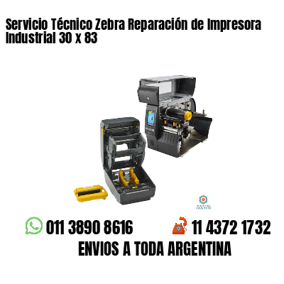 Servicio Técnico Zebra Reparación de Impresora Industrial 30 x 83