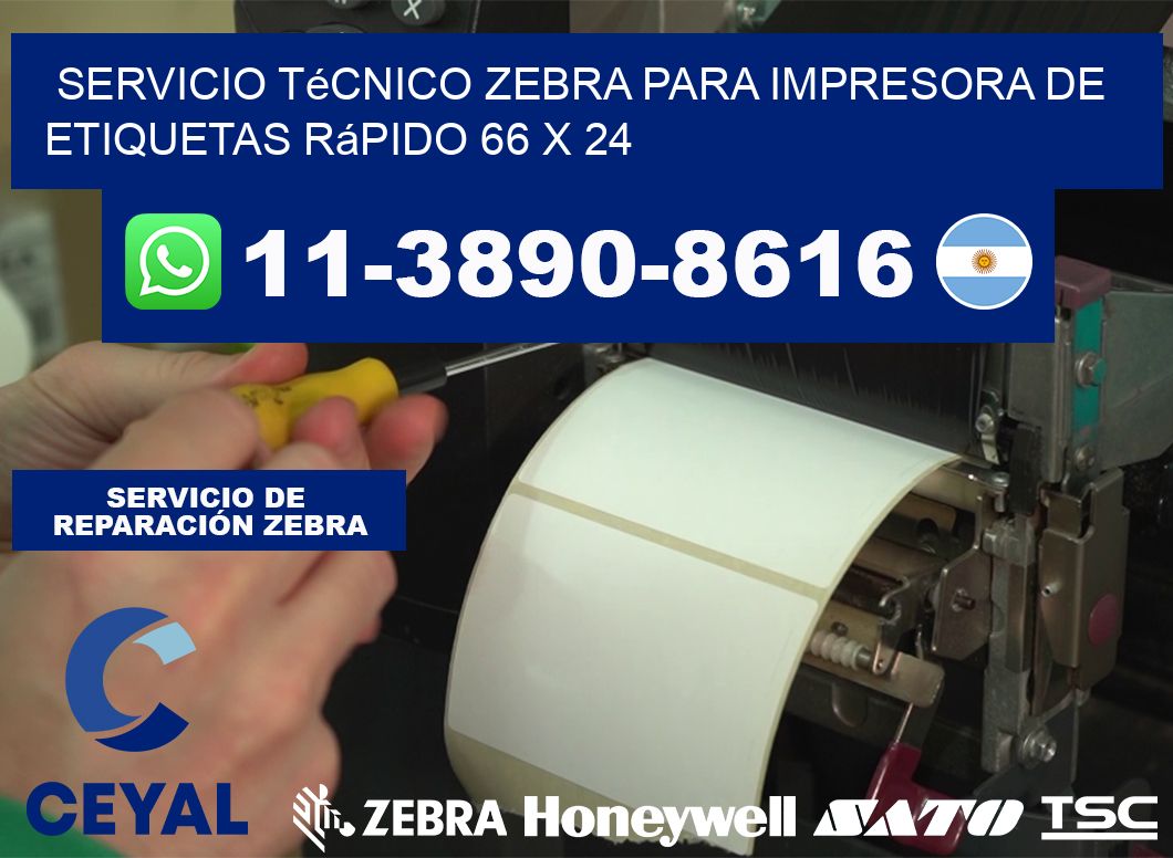 Servicio Técnico Zebra para Impresora de Etiquetas Rápido 66 x 24