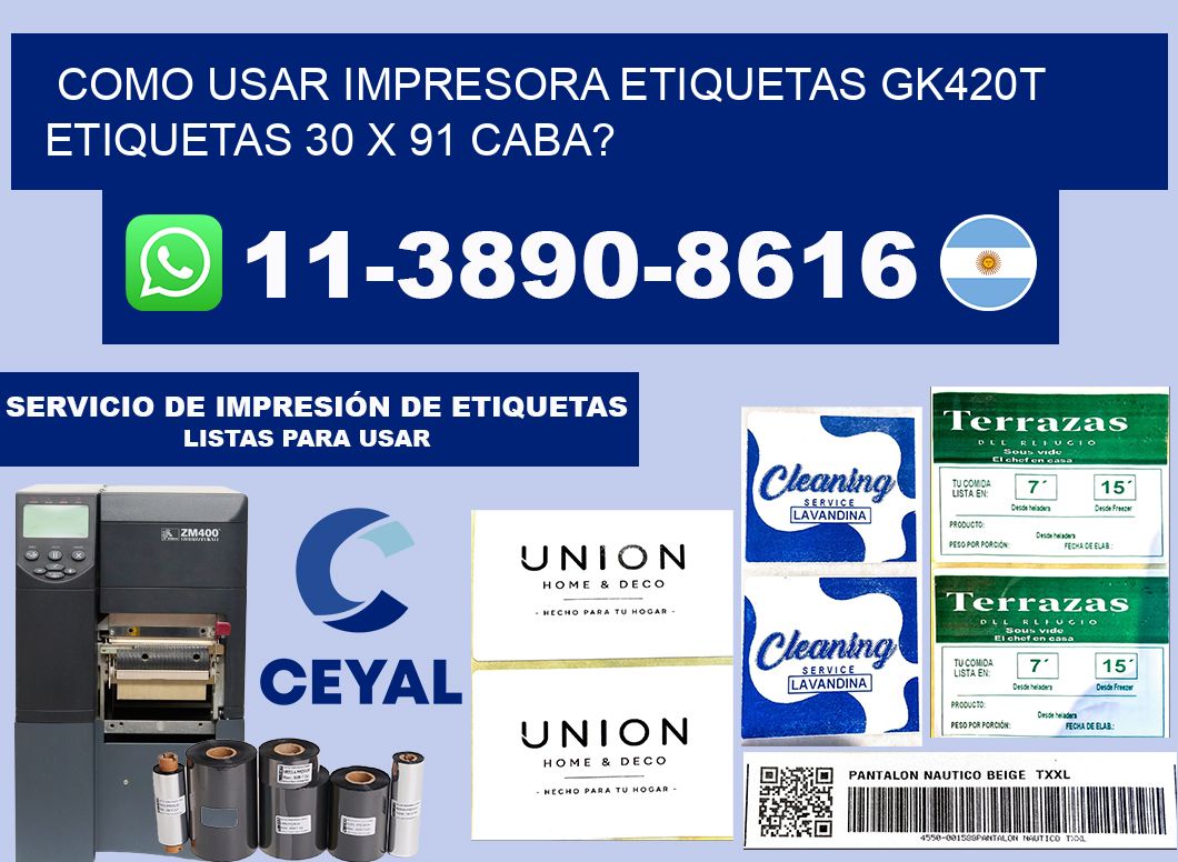 como usar impresora etiquetas gk420t etiquetas 30 x 91 CABA?