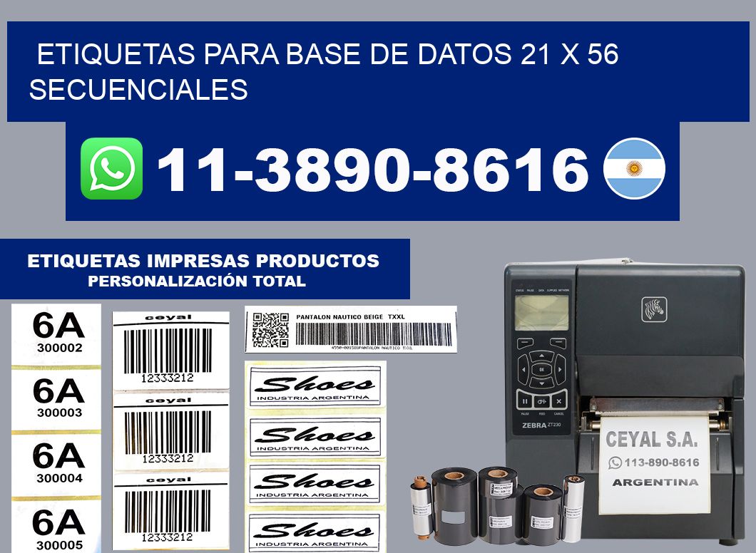 etiquetas para base de datos 21 x 56 secuenciales