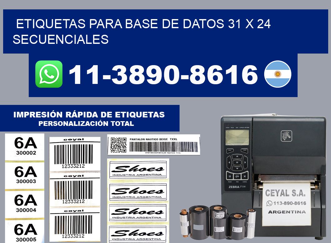 etiquetas para base de datos 31 x 24 secuenciales