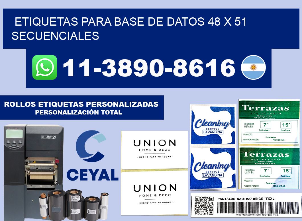 etiquetas para base de datos 48 x 51 secuenciales