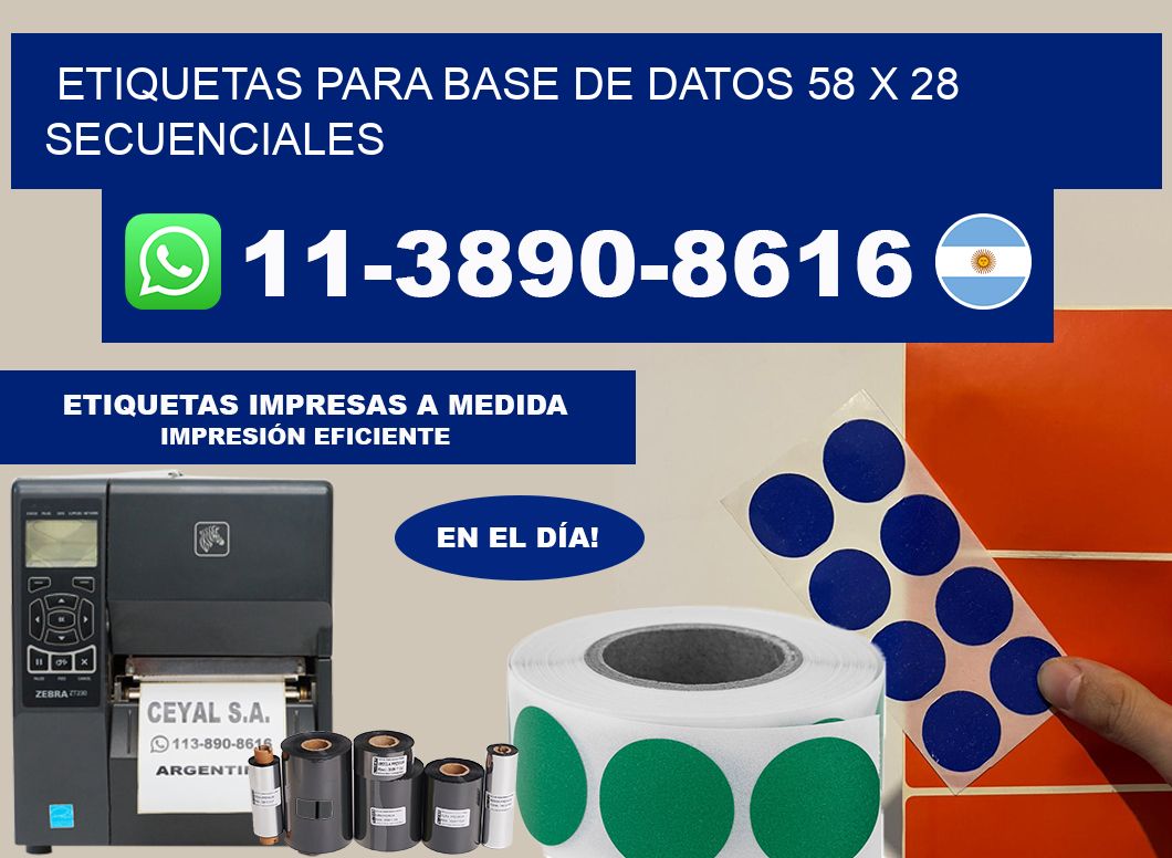 etiquetas para base de datos 58 x 28 secuenciales