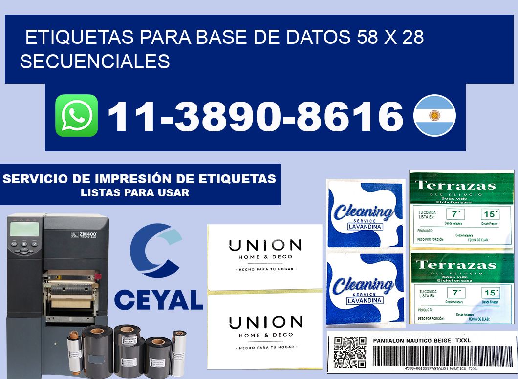 etiquetas para base de datos 58 x 28 secuenciales