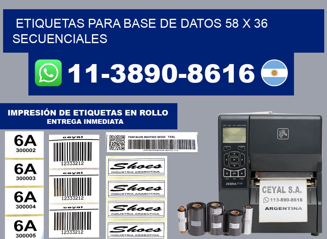 etiquetas para base de datos 58 x 36 secuenciales