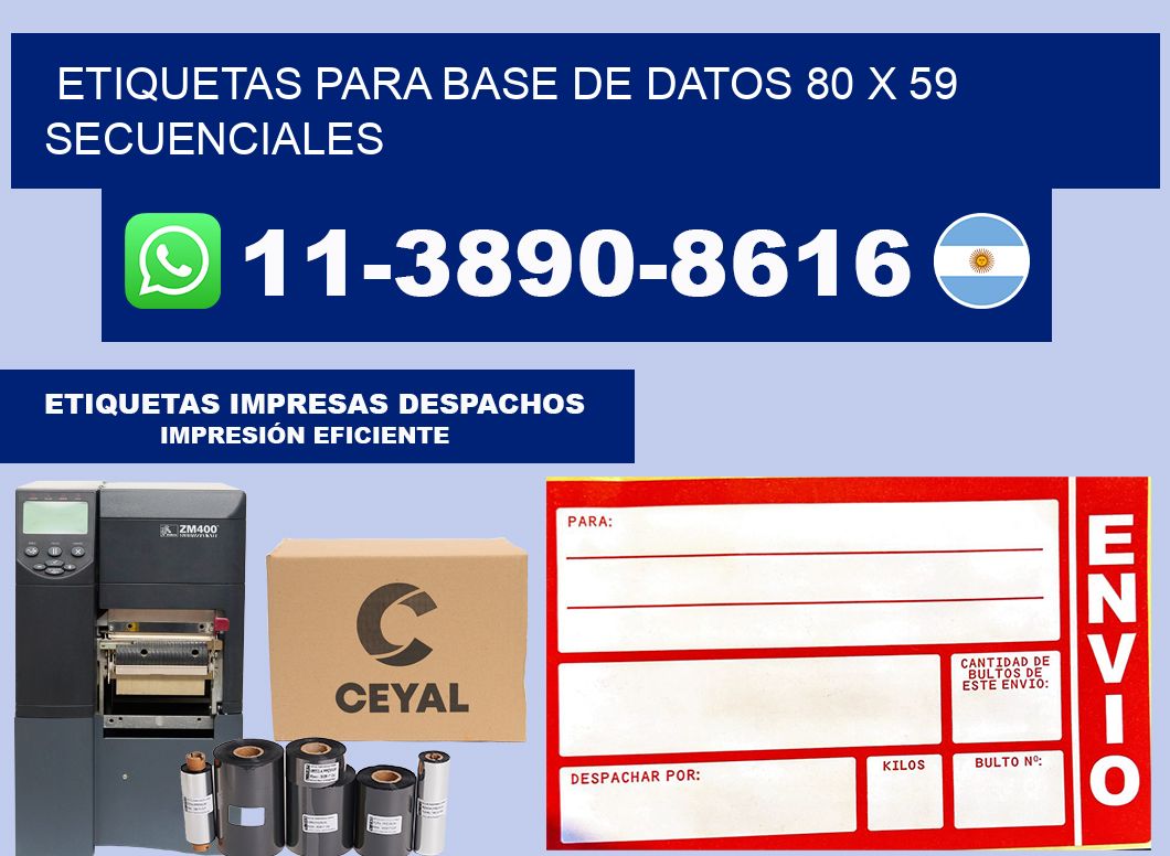 etiquetas para base de datos 80 x 59 secuenciales