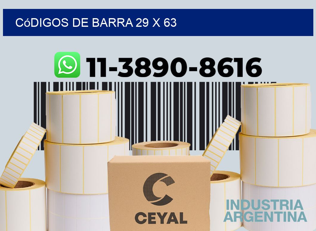 códigos de barra 29 x 63