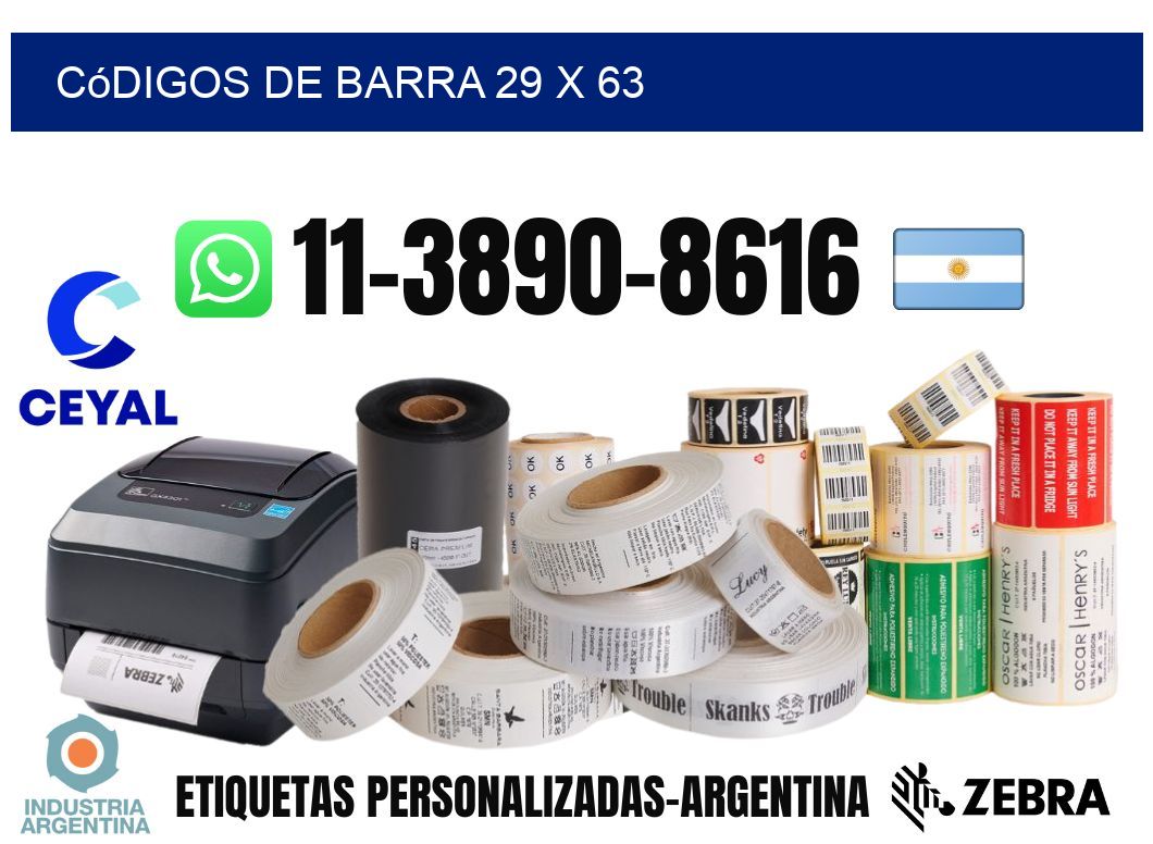 códigos de barra 29 x 63
