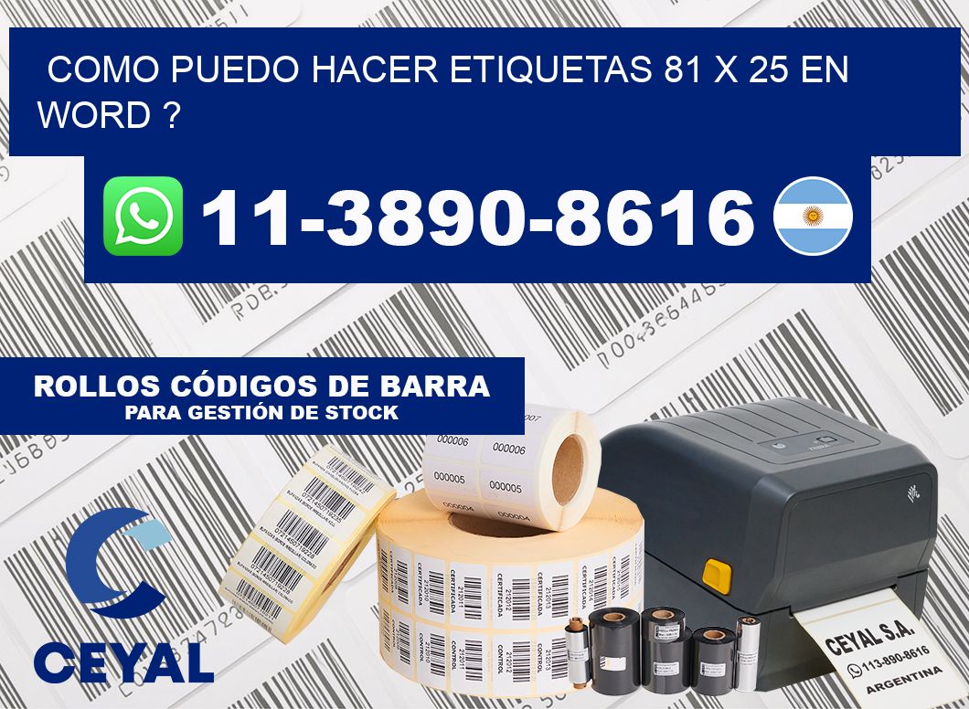 como puedo hacer etiquetas 81 x 25 en word ?