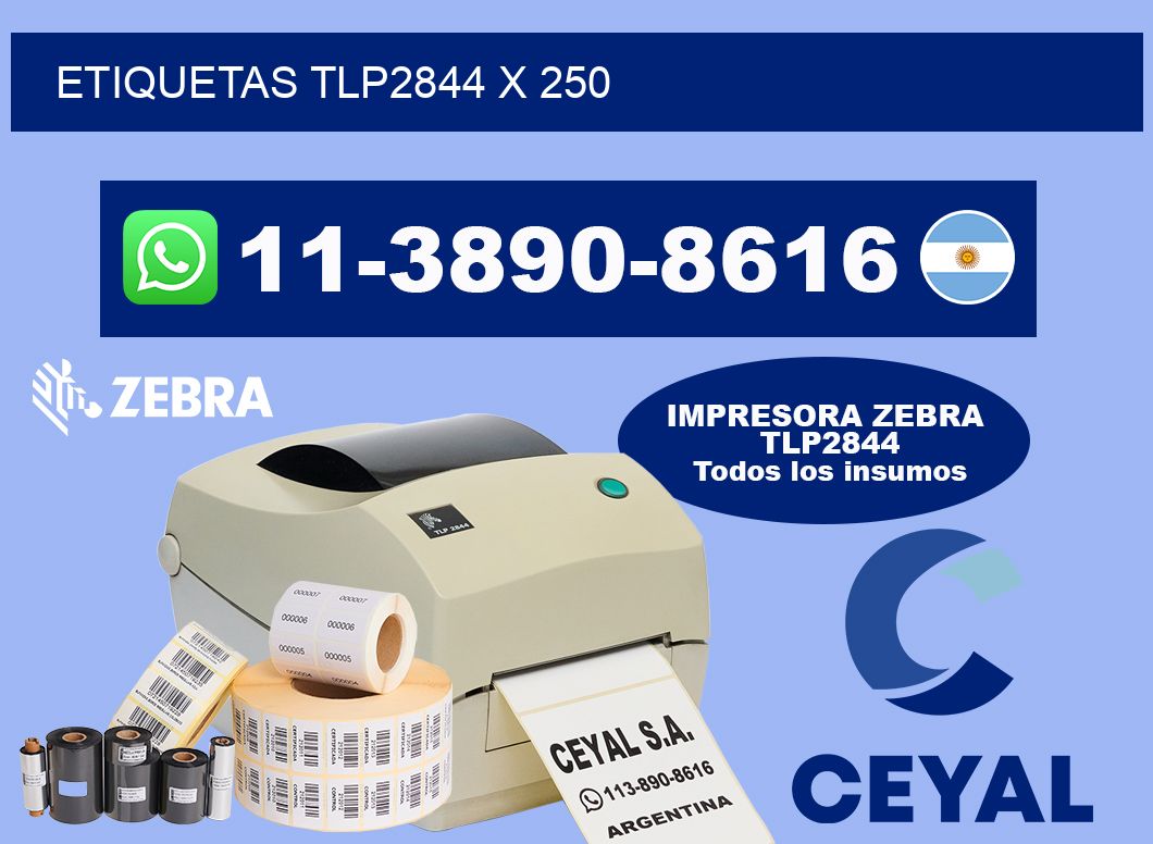 ETIQUETAS TLP2844 X 250